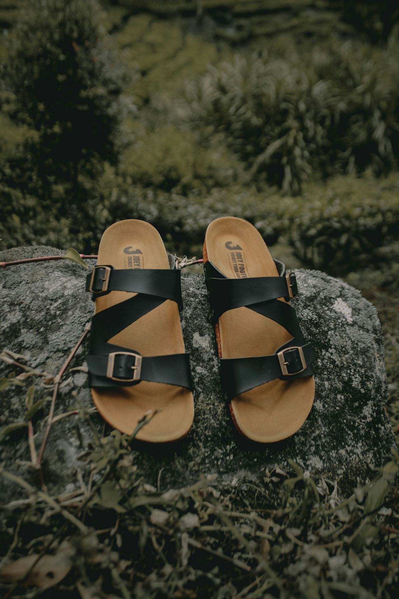 brown and black flip flops on gray rock
